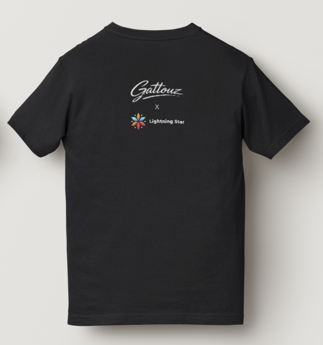 Gattouz Mr.Perfect T-Shirt